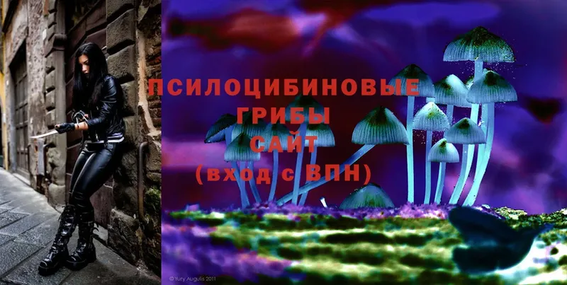 Псилоцибиновые грибы Magic Shrooms  купить наркотики цена  Красногорск 